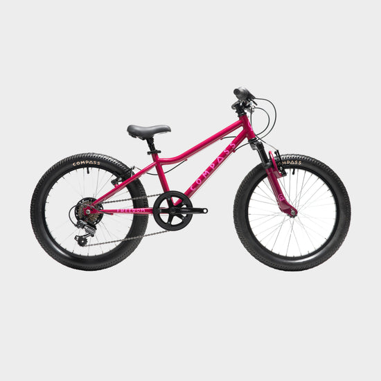 Freedom 20” Kids’ Bike