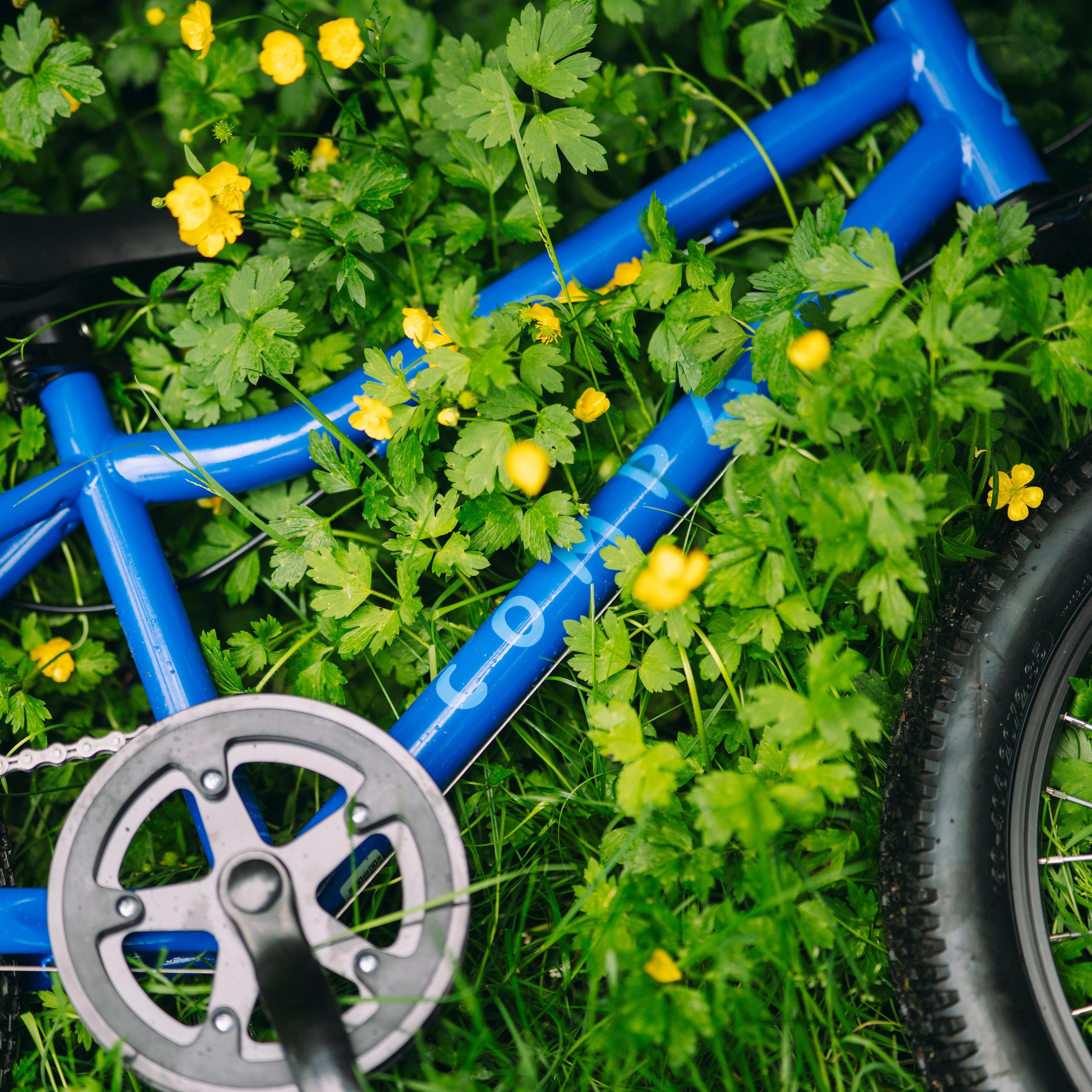 Freedom 20” Kids’ Bike