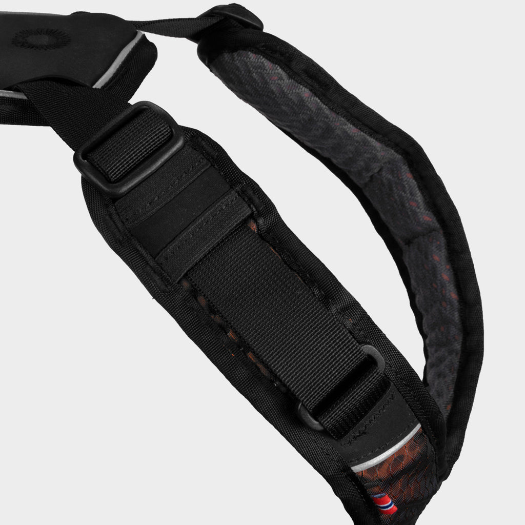 Rock Harness