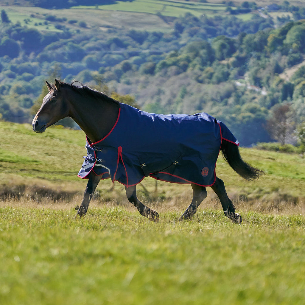 Original 50g Lightweight Standard Neck Turnout Rug Navy/Red