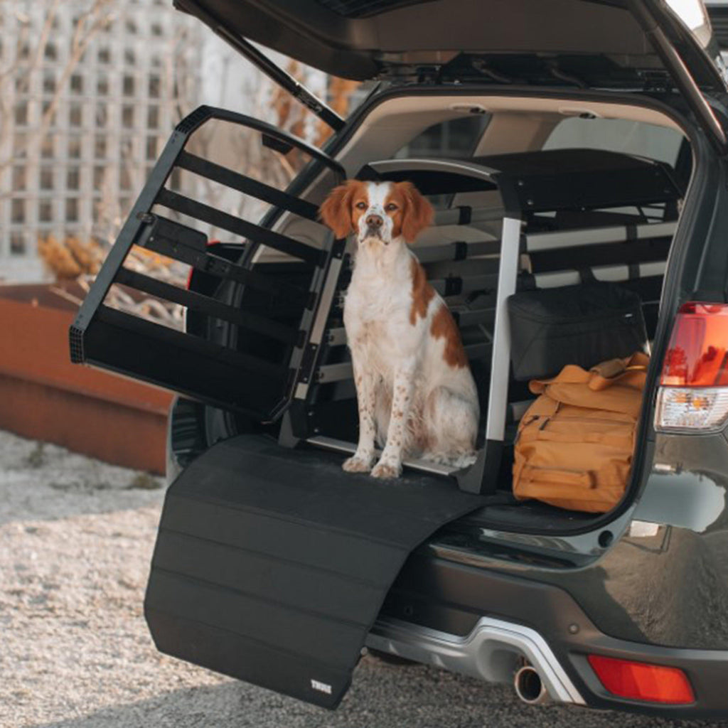 Allax Extra Small Compact Dog Crate