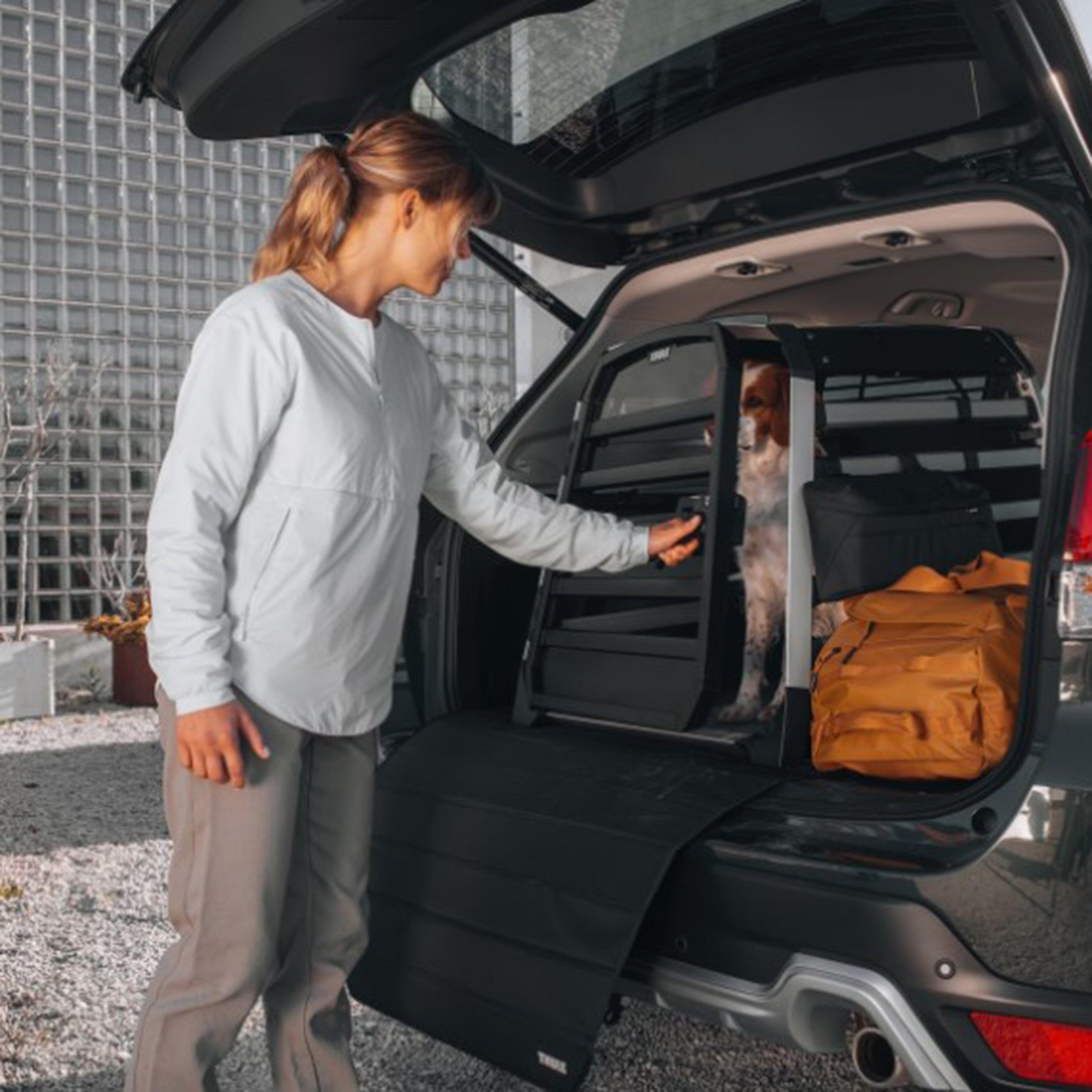 Allax Large Compact Dog Crate