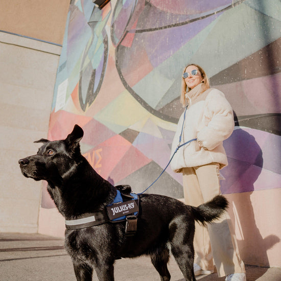 Original K9 Powerharness Size 0