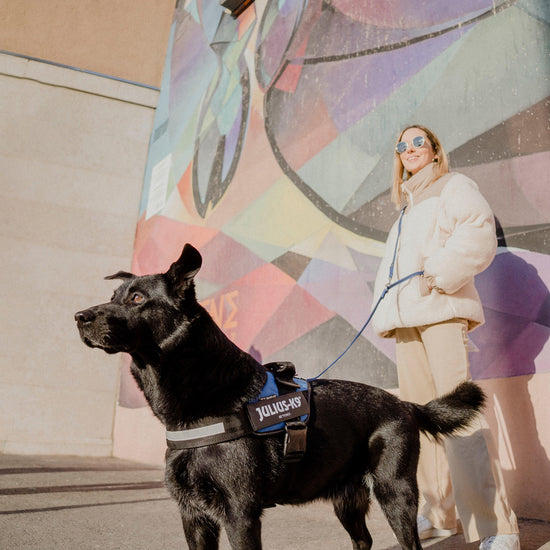 Original K9 Powerharness Size 1