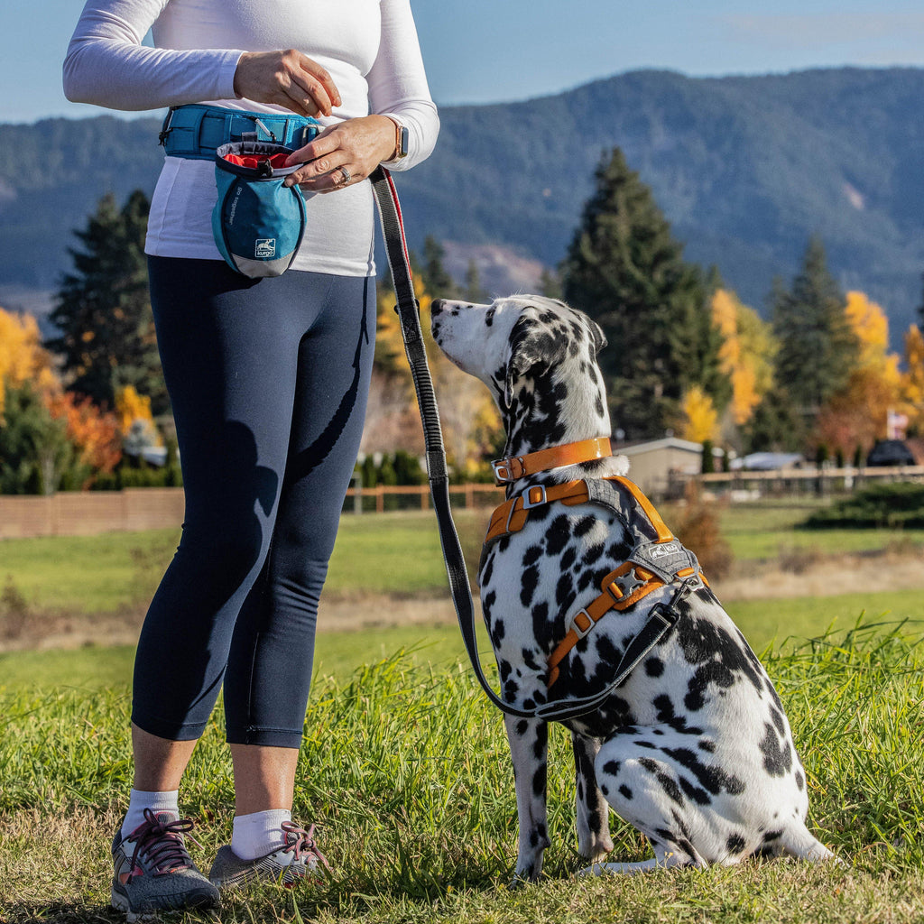 Go Stuff It Dog Treat Bag