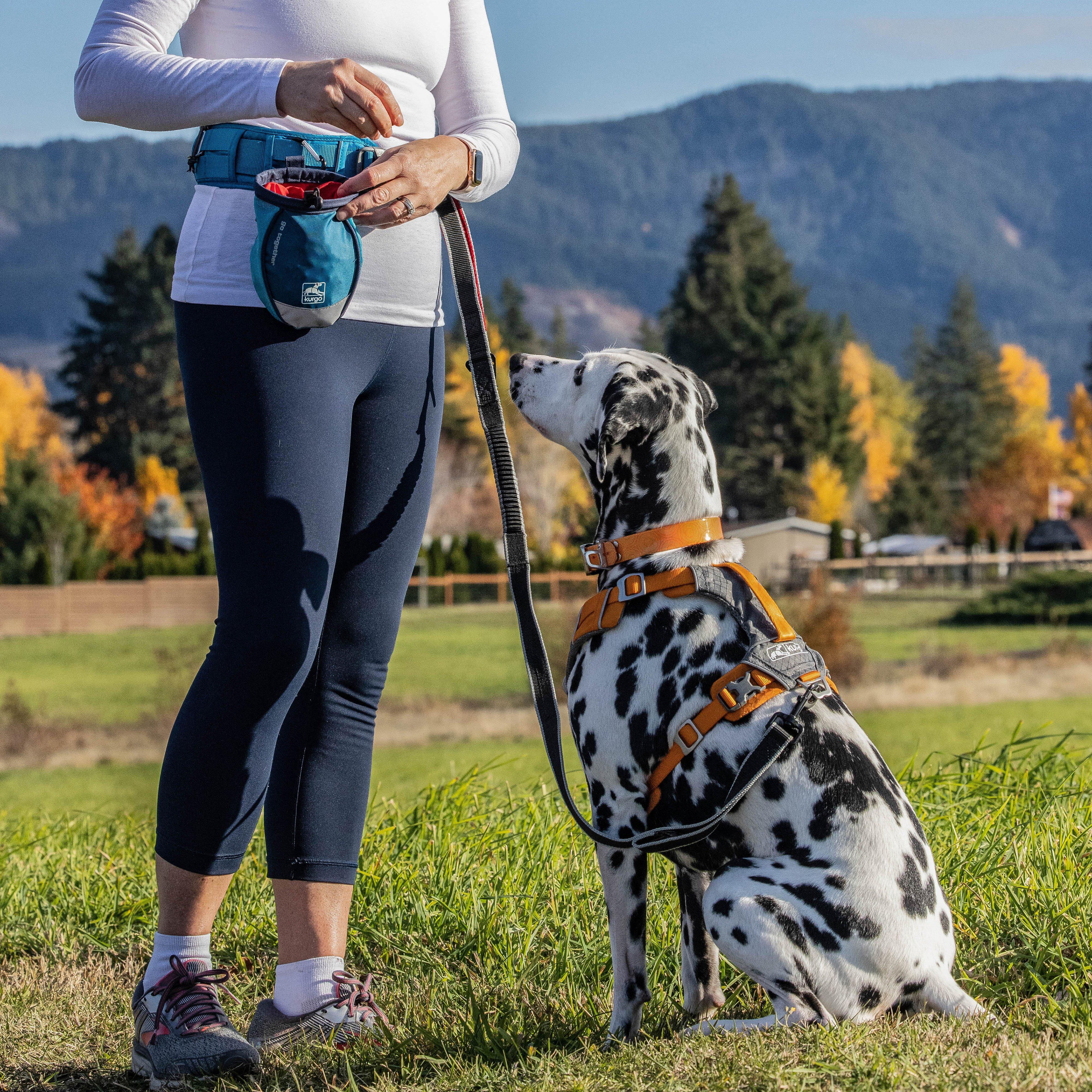Go Stuff It Dog Treat Bag