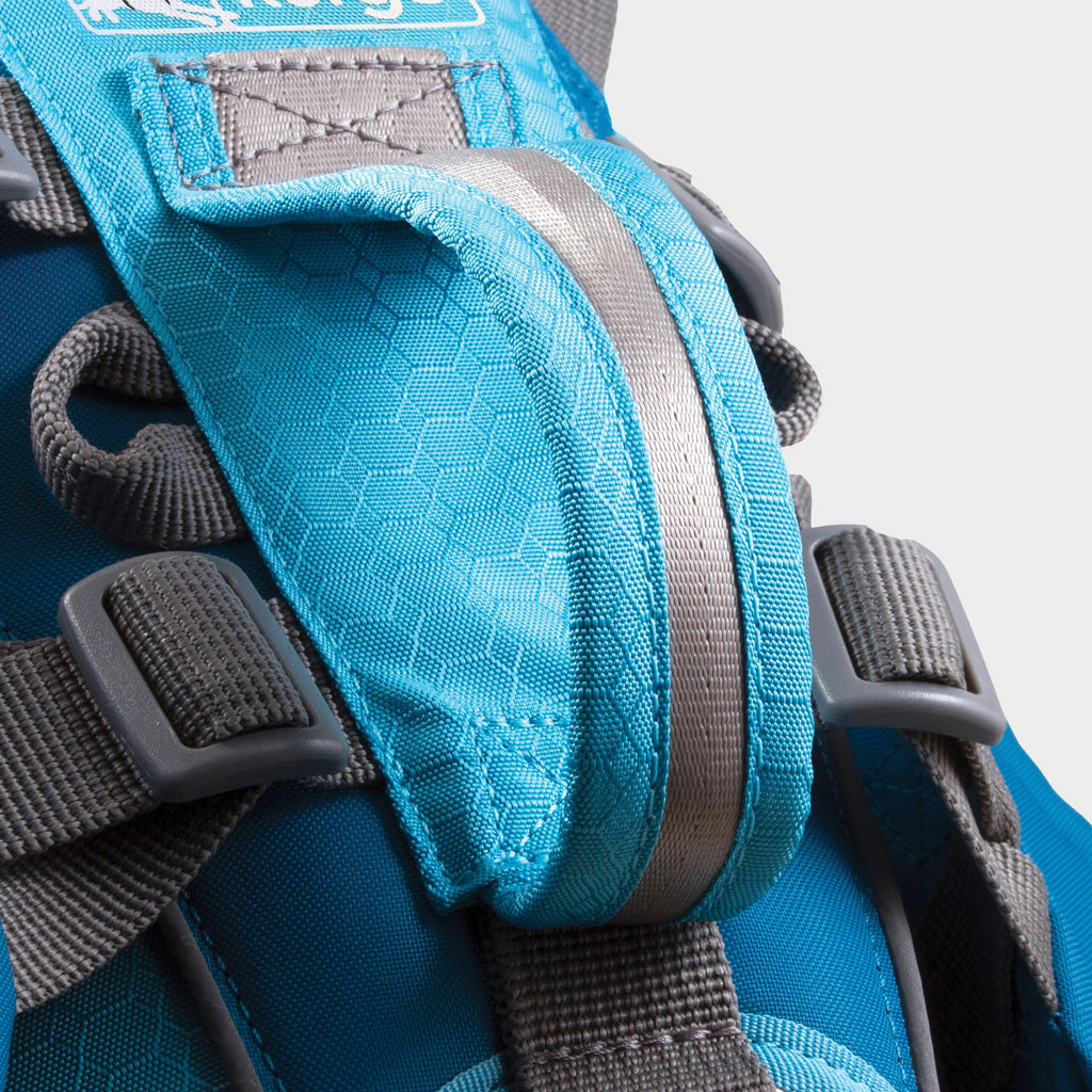 Baxter Dog Backpack