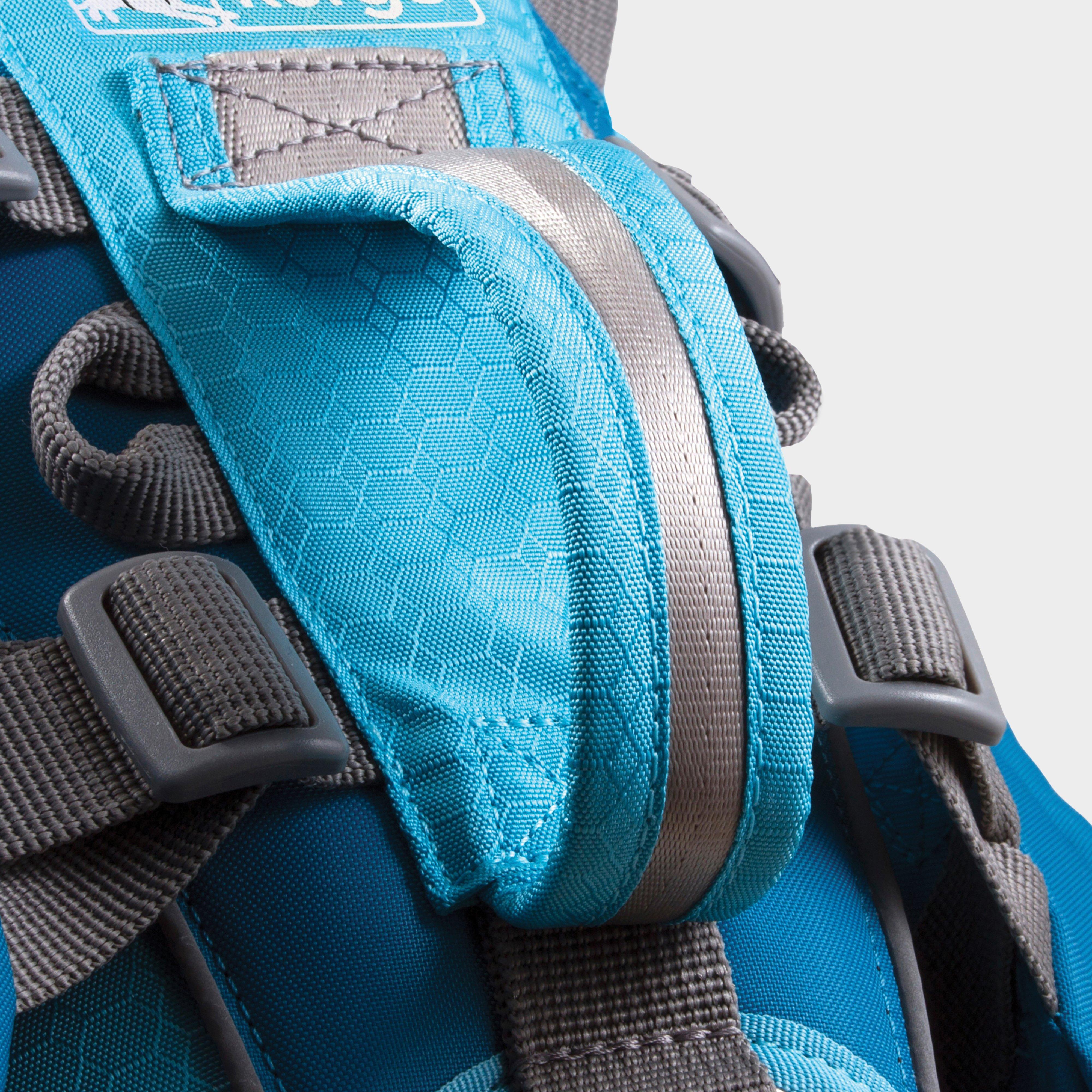 Baxter Dog Backpack