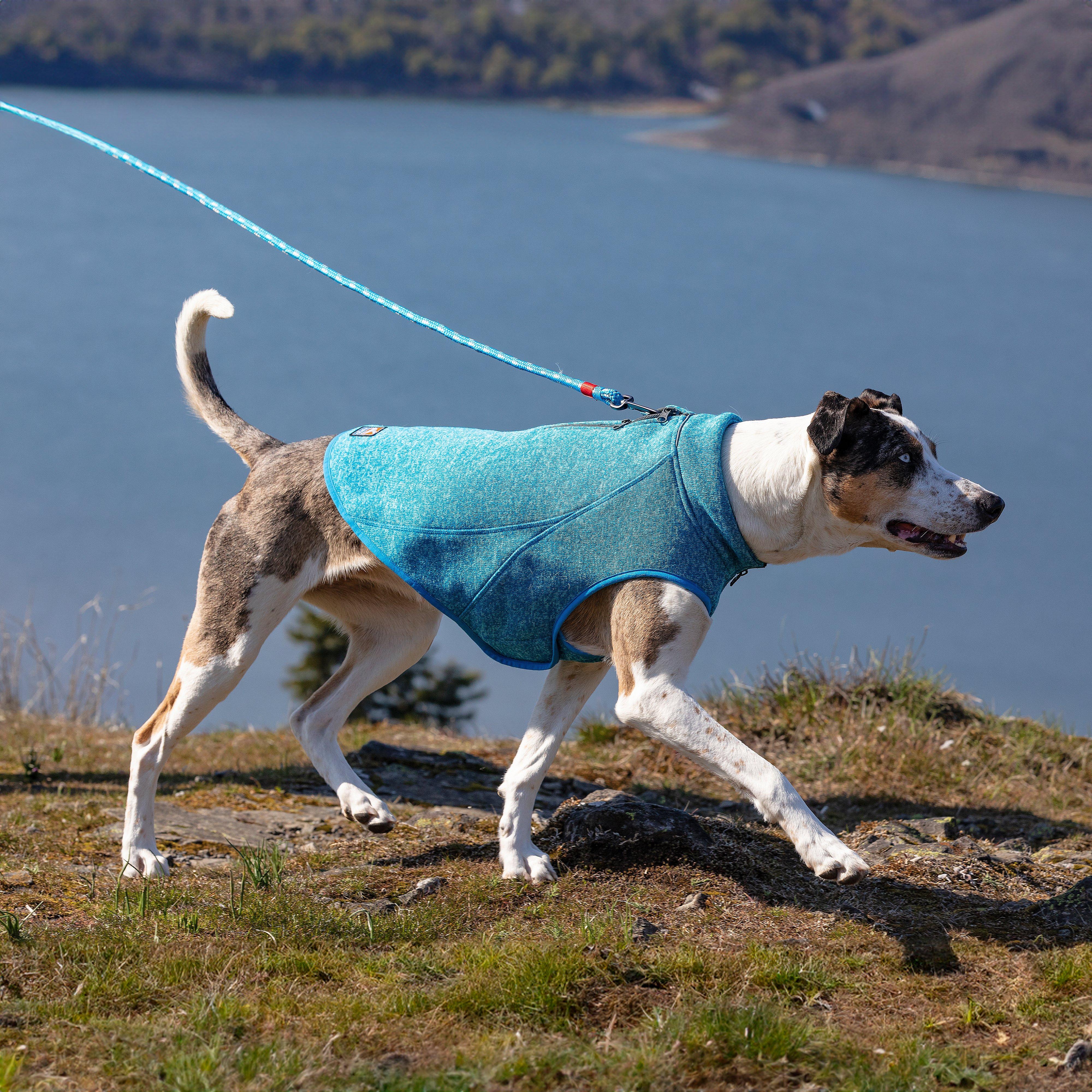 Core Dog Sweater