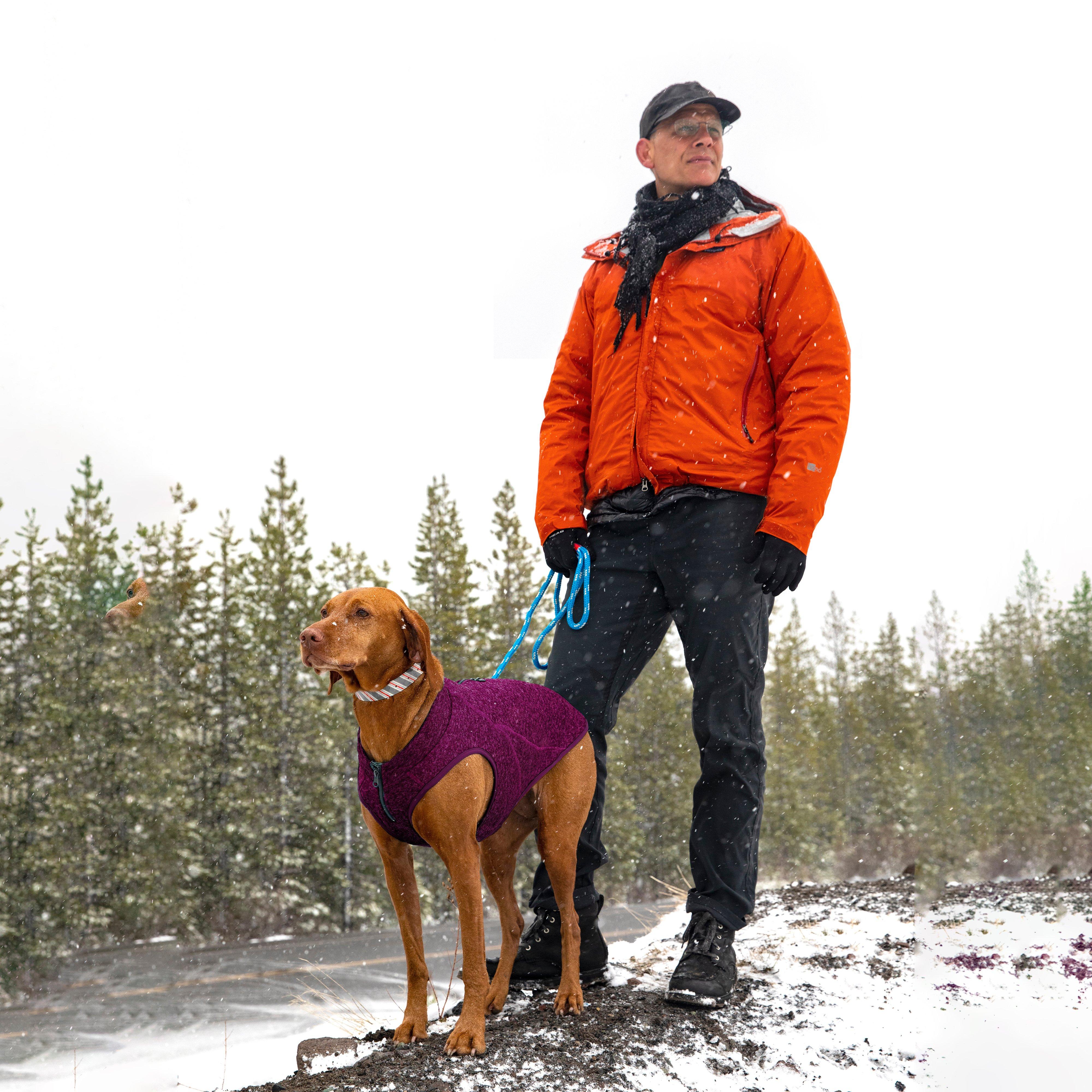 Core Dog Sweater