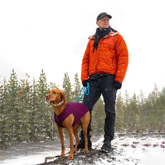 Core Dog Sweater