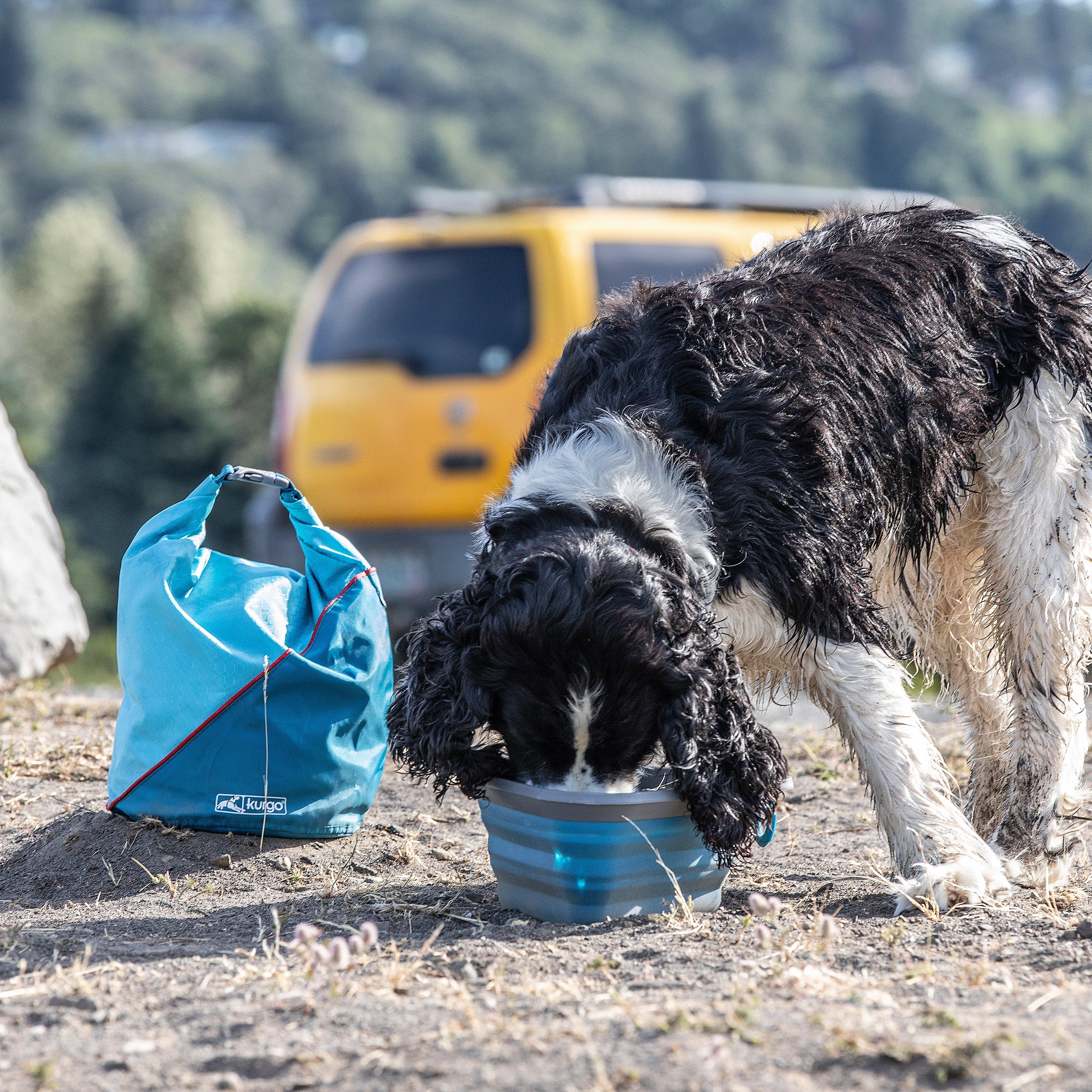 Dog Kibble Carrier