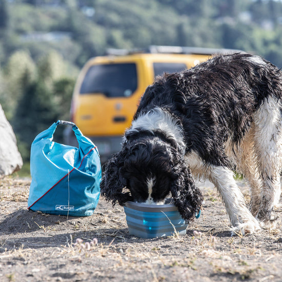 Dog Kibble Carrier