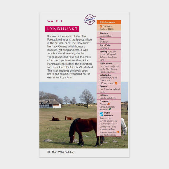 Short Walks Made Easy – New Forest