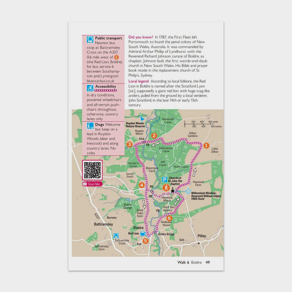 Short Walks Made Easy – New Forest