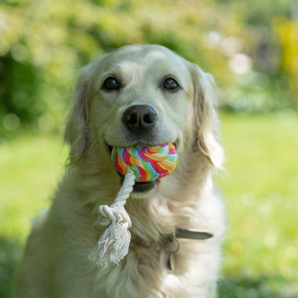 Lilly Lollipop Plush And Rope Dog Toy