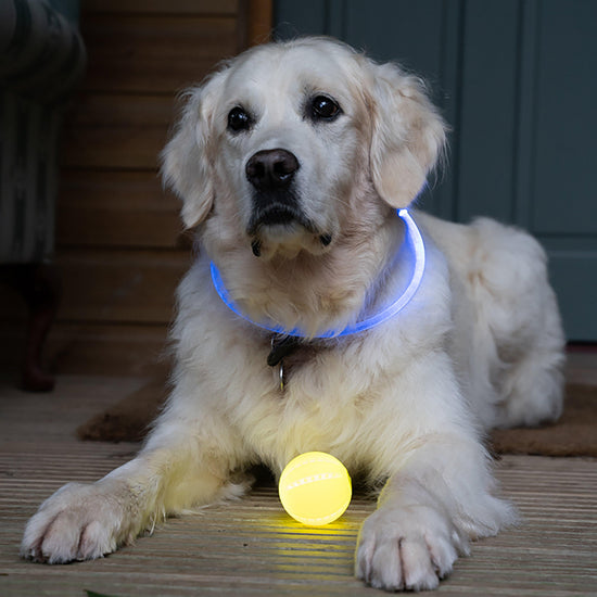 Outdoor Paws USB Rechargeable Glow In The Dark Ball Dog Toy