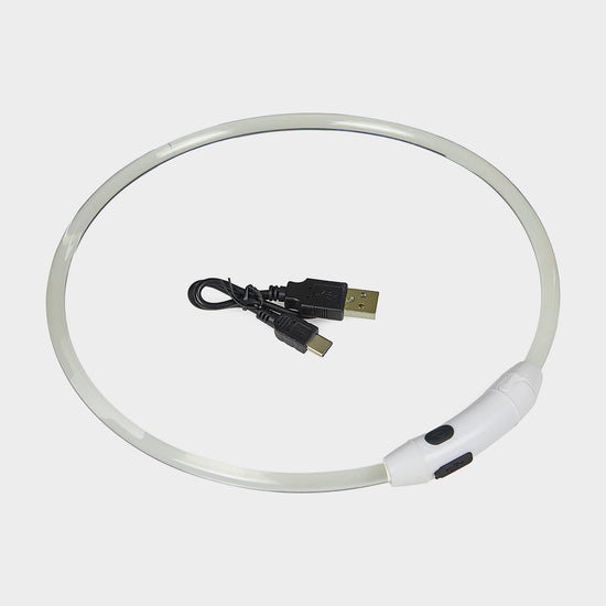Outdoor Paws USB Rechargeable LED Ring Dog Collar