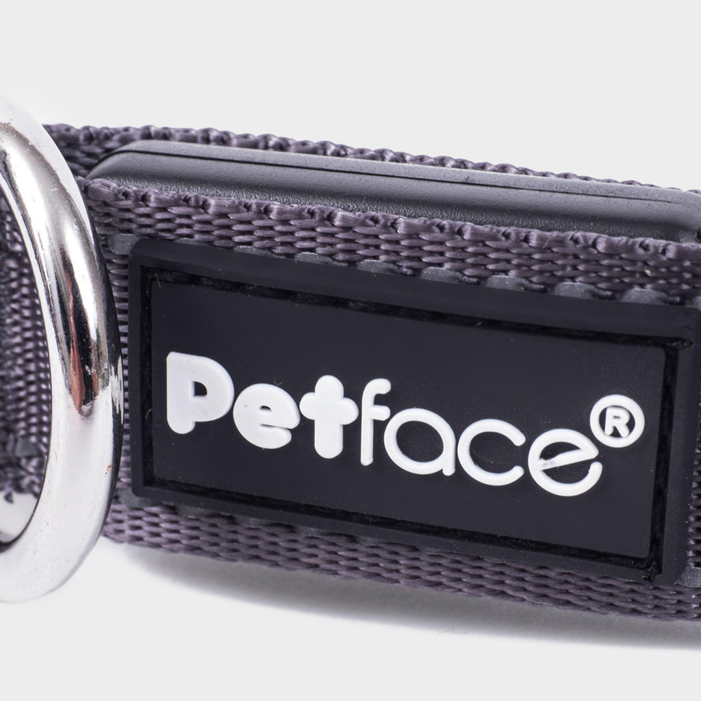 Reflective Flashing Dog Collar Medium