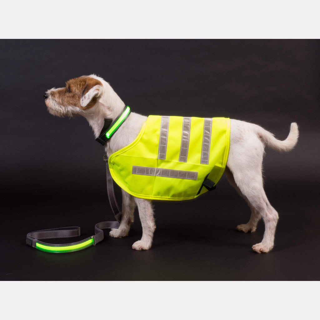 Reflective Flashing Dog Collar Medium