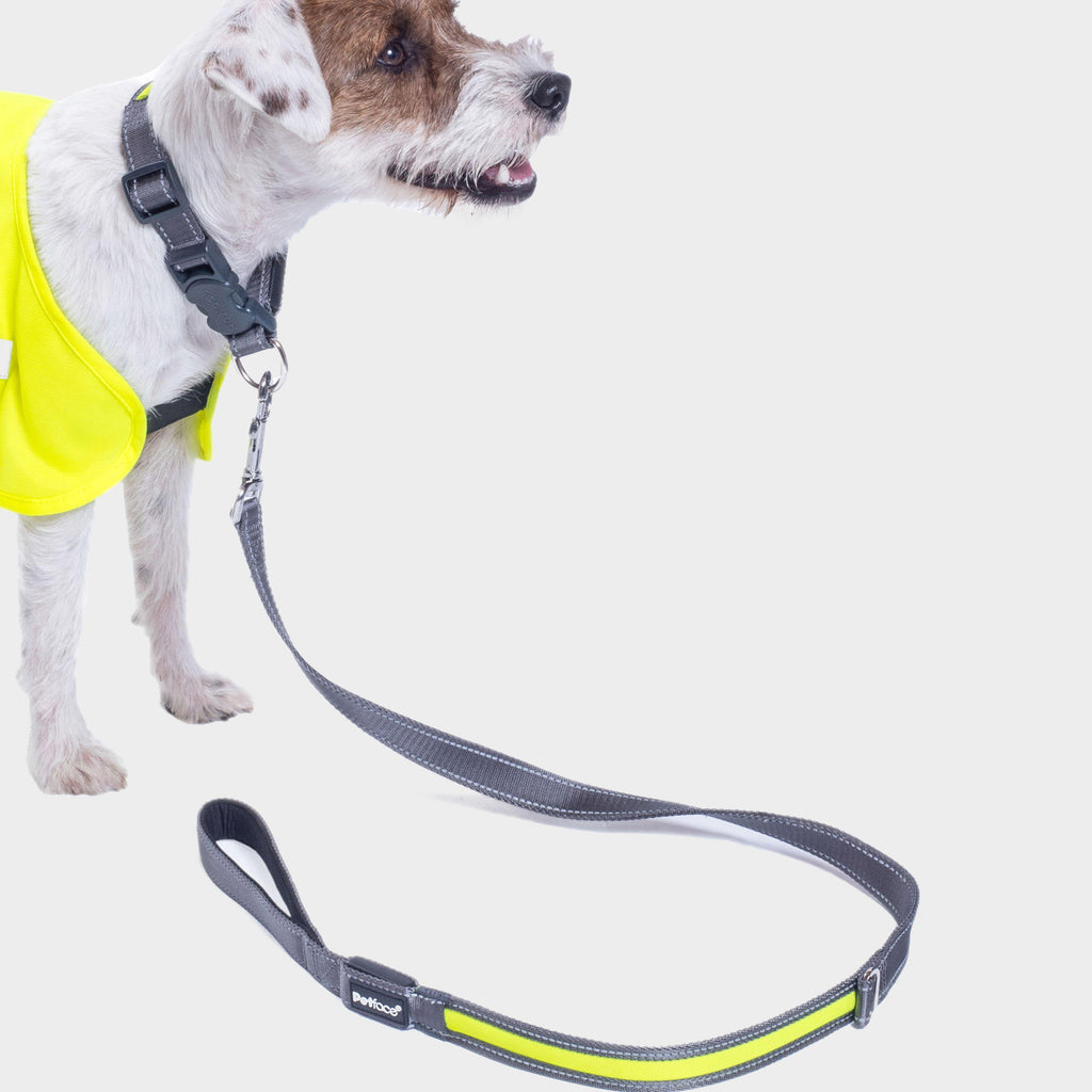 Reflect Flashing Yellow Lead