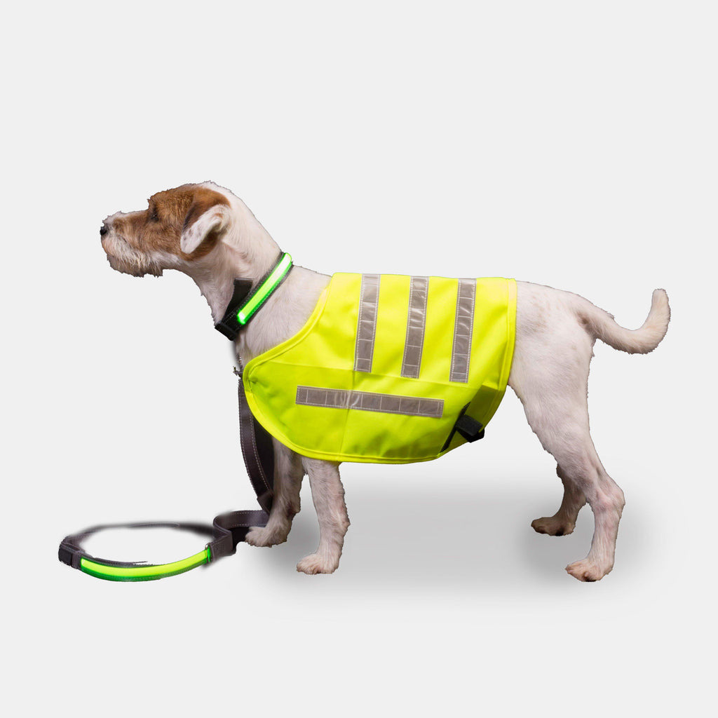 Reflect Flashing Yellow Lead