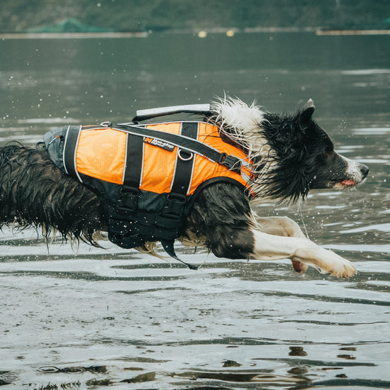 Safe Life Jacket 2.0