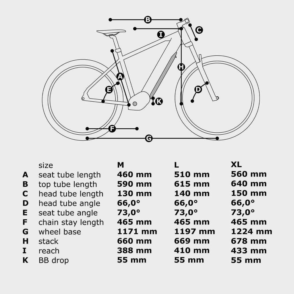 Pro Mountain E-Bike