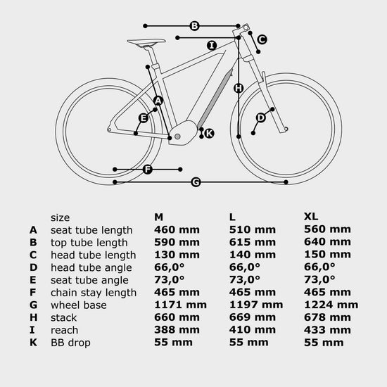Pro Mountain E-Bike