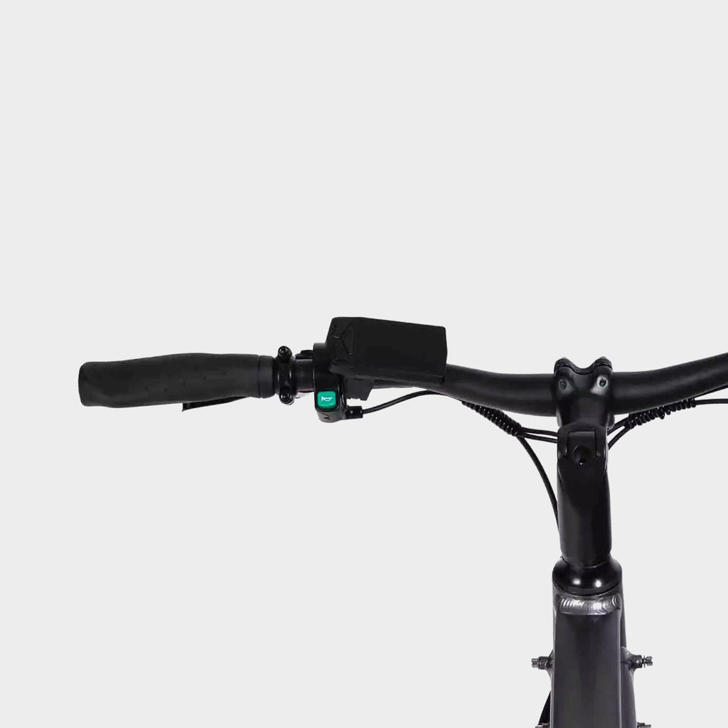 Aarhus Electric Bike