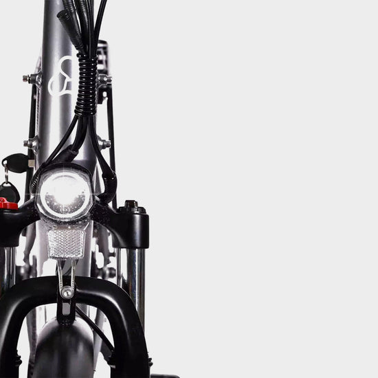 Aarhus Low Step Electric Bike