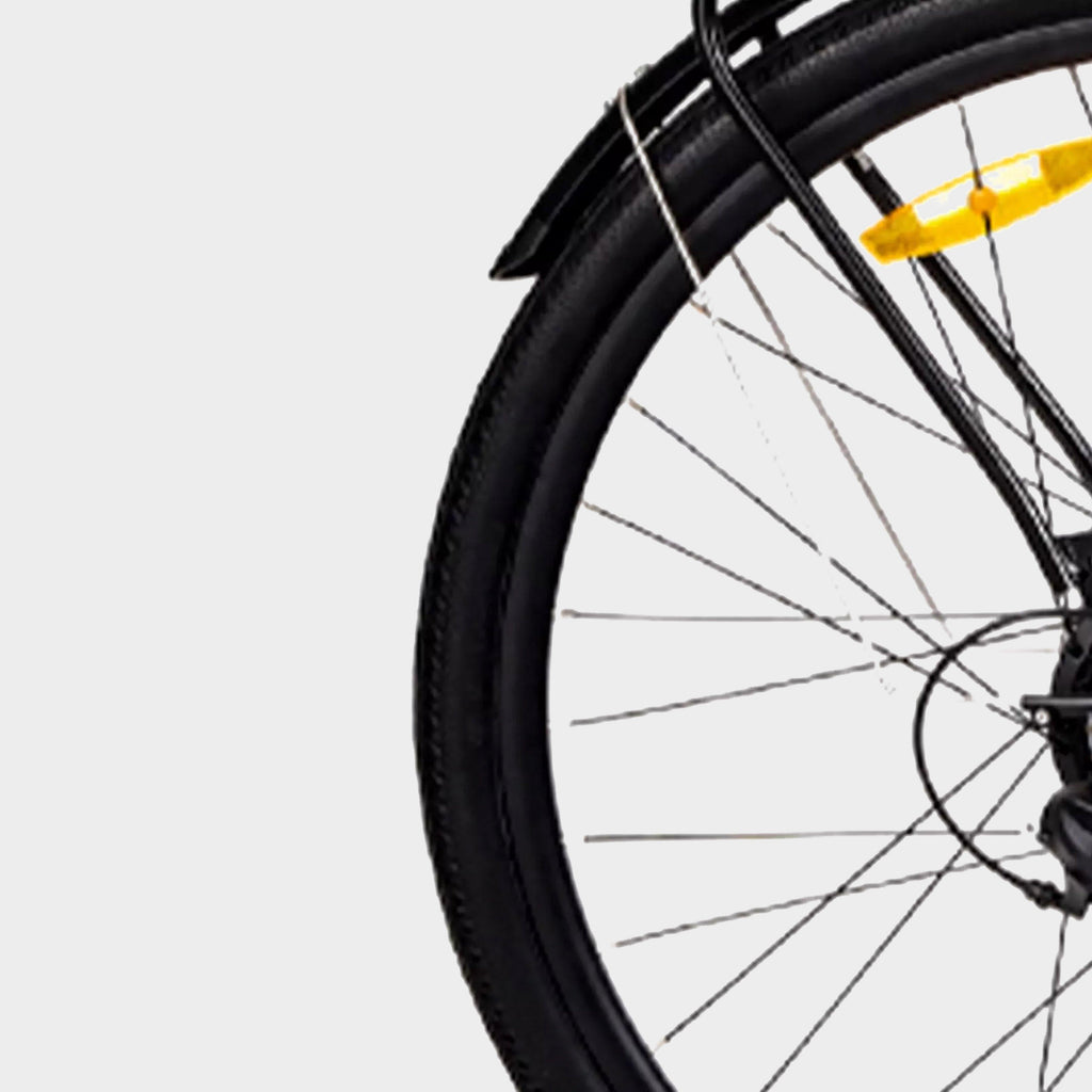 Aarhus Low Step Electric Bike