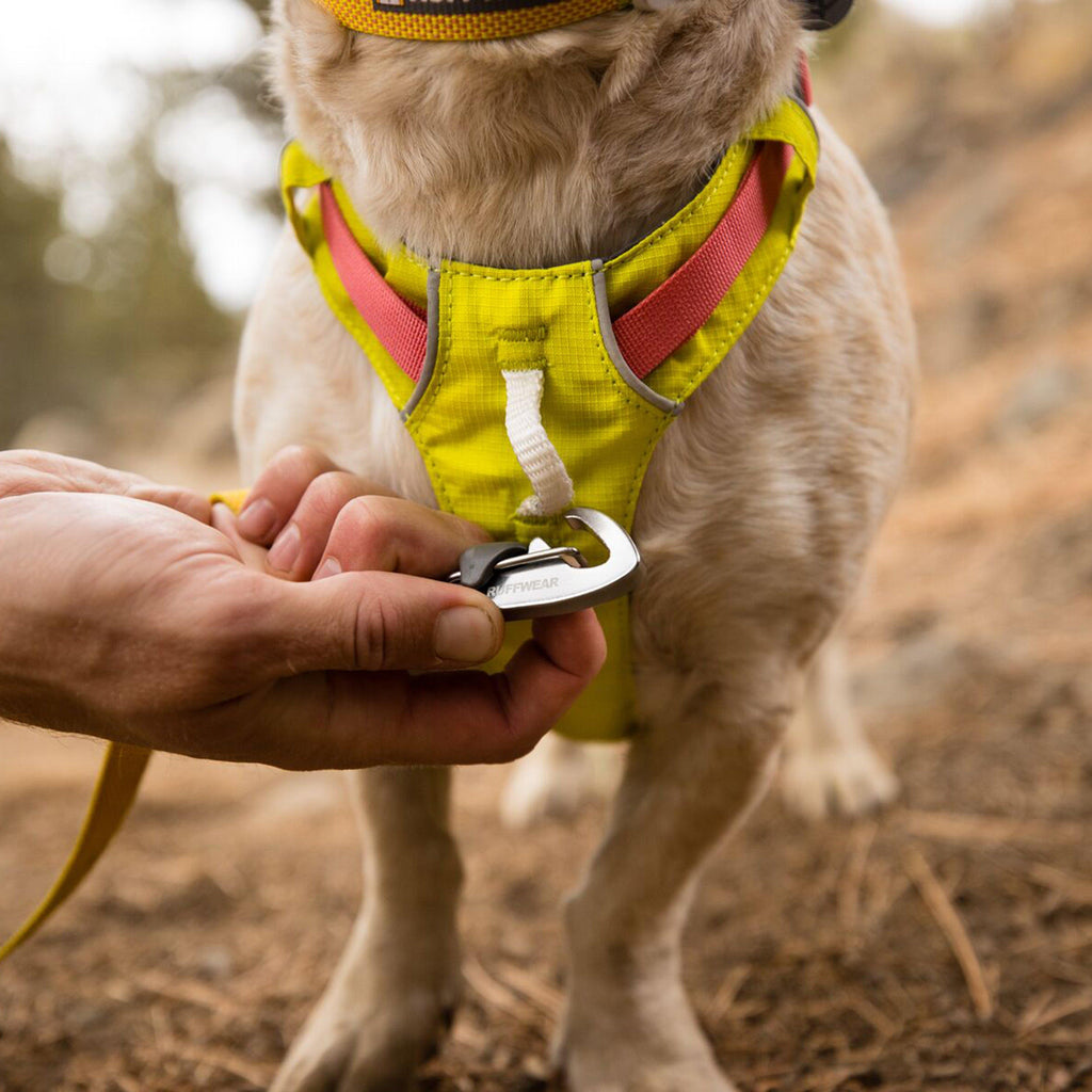 Hi Light Harness