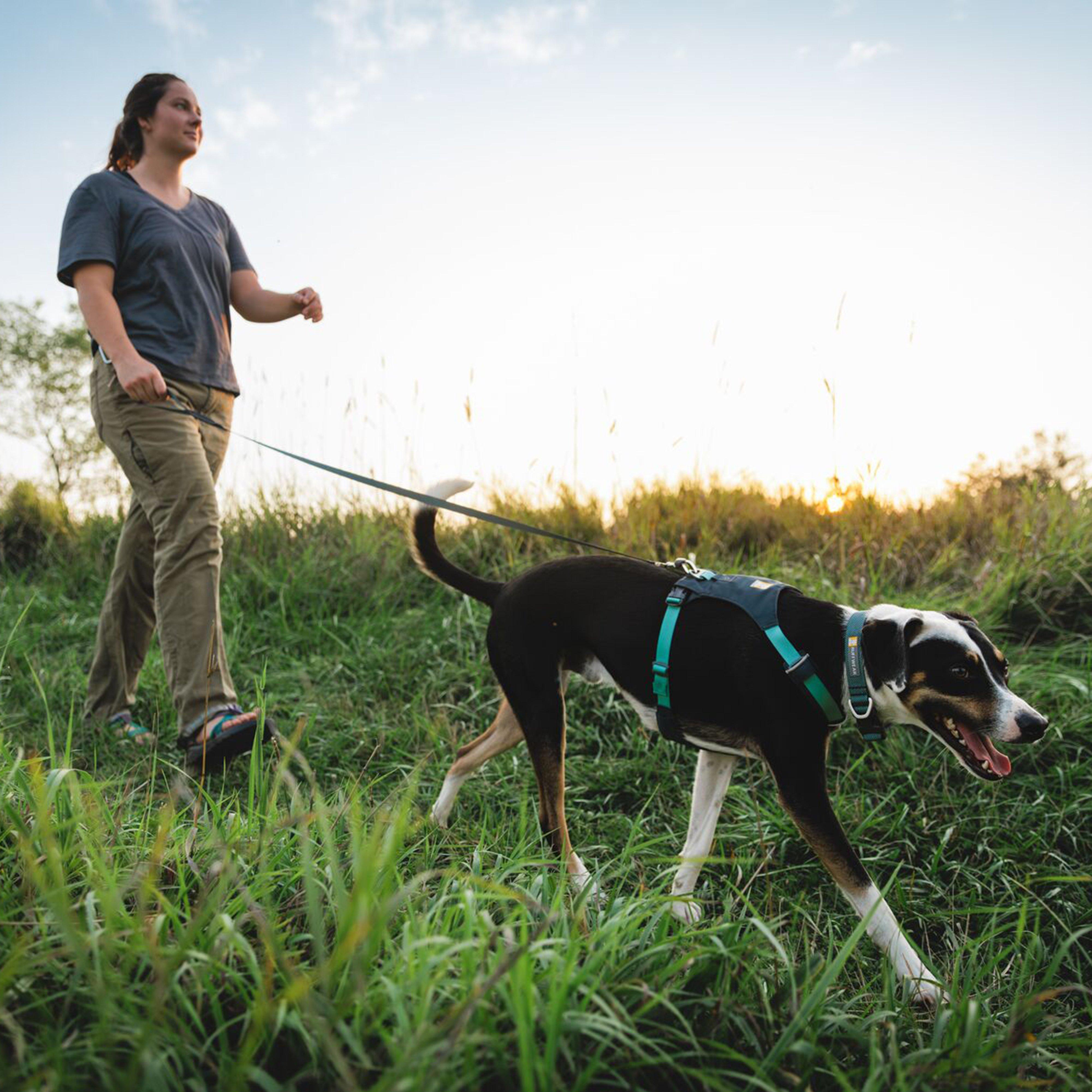 Hi & Light™ Lightweight Dog Harness