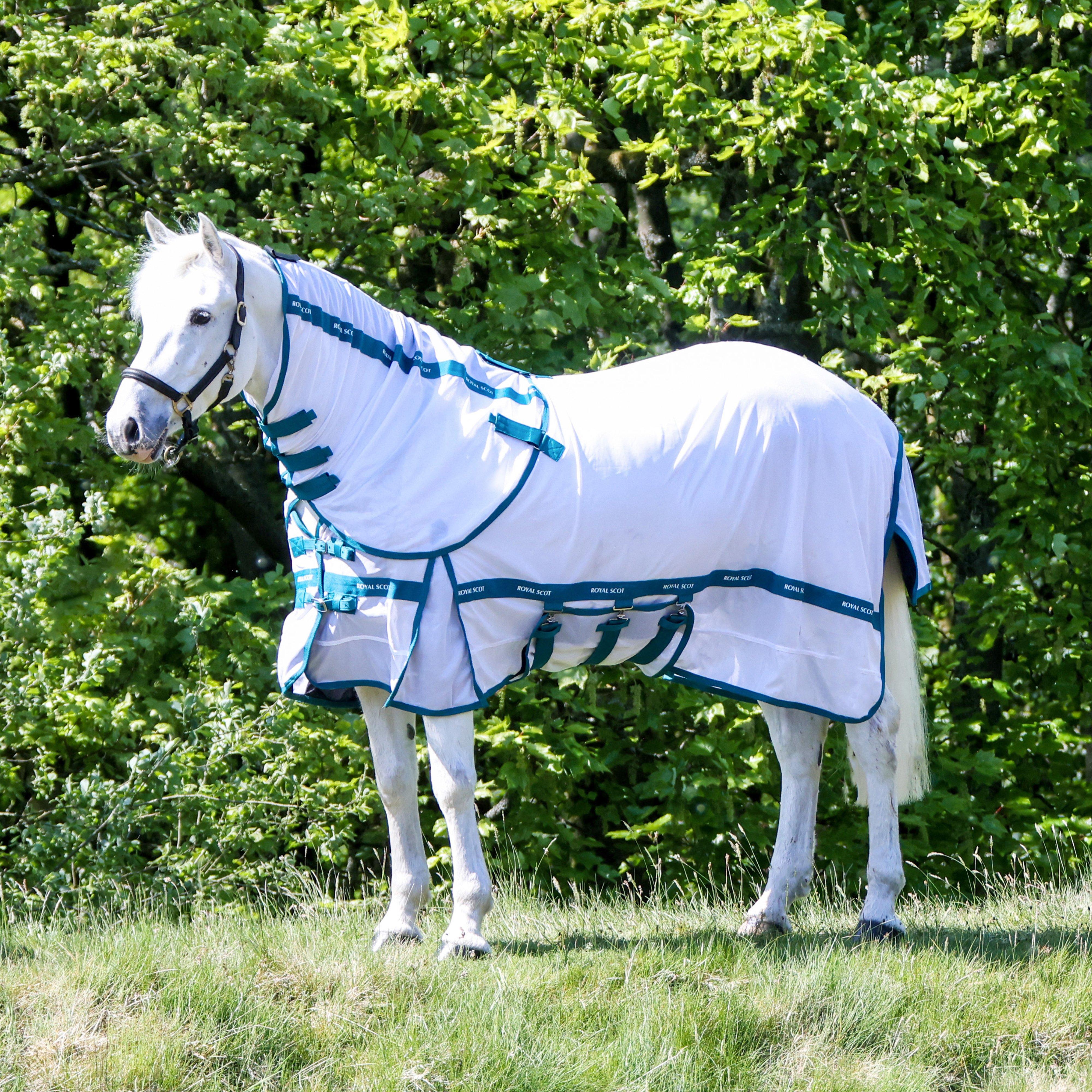 Original Fly Rug