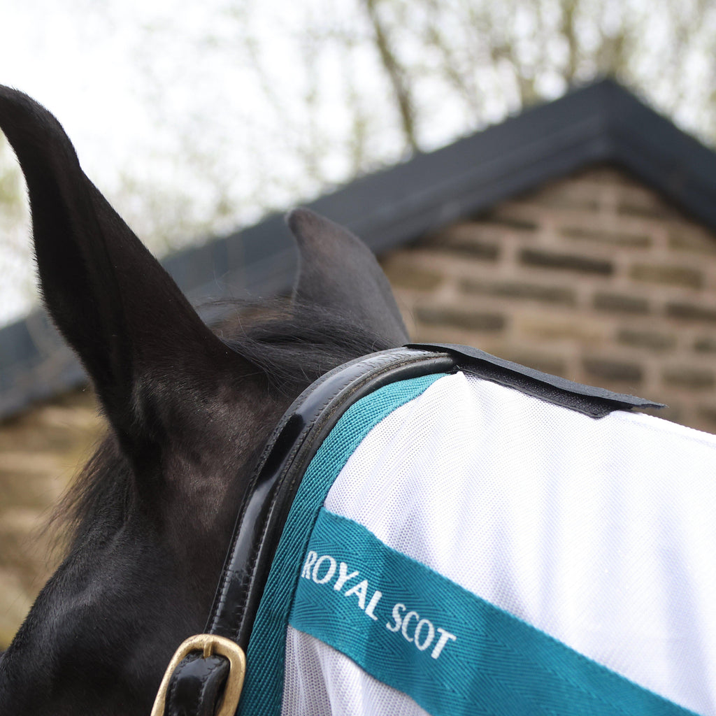 Original Fly Rug