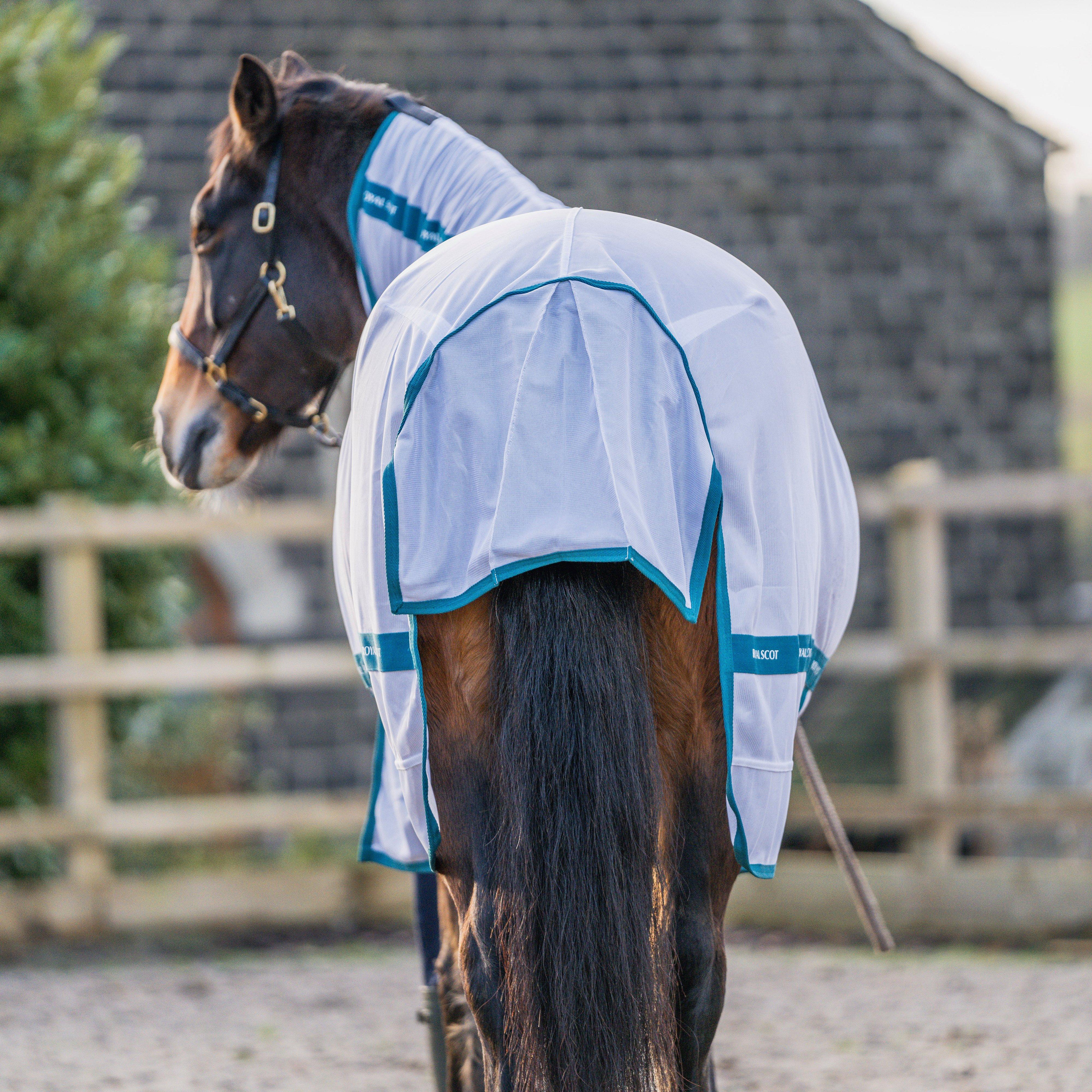 Original Fly Rug