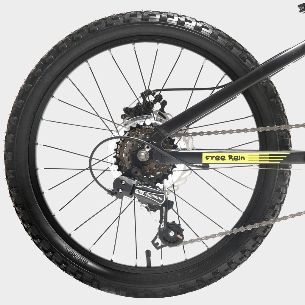 Free Rein Bike 20"