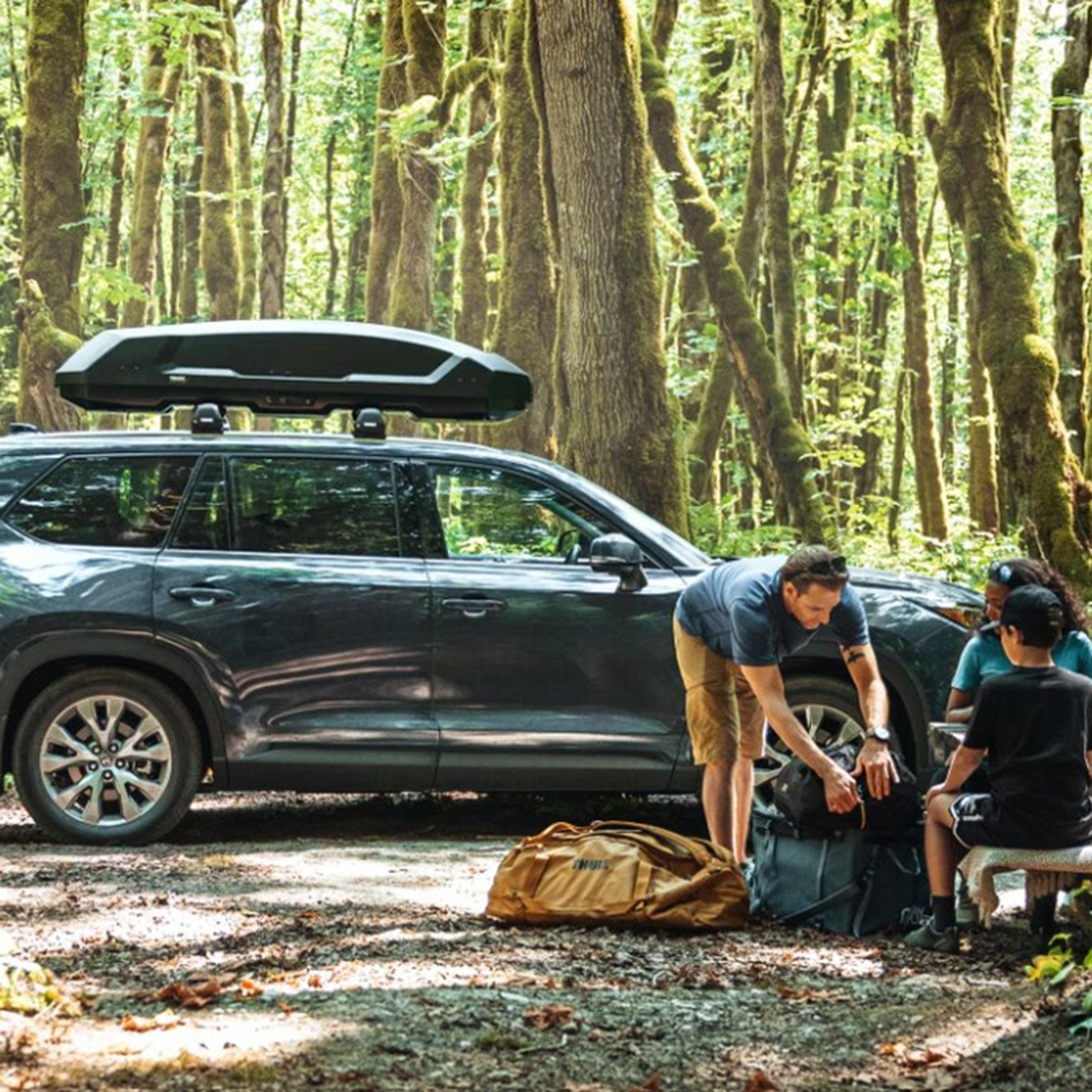 Force Roof Box 3 L