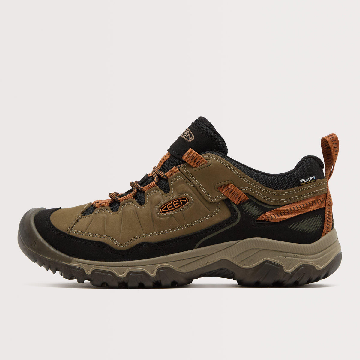 Men's Targhee IV Waterproof Shoe