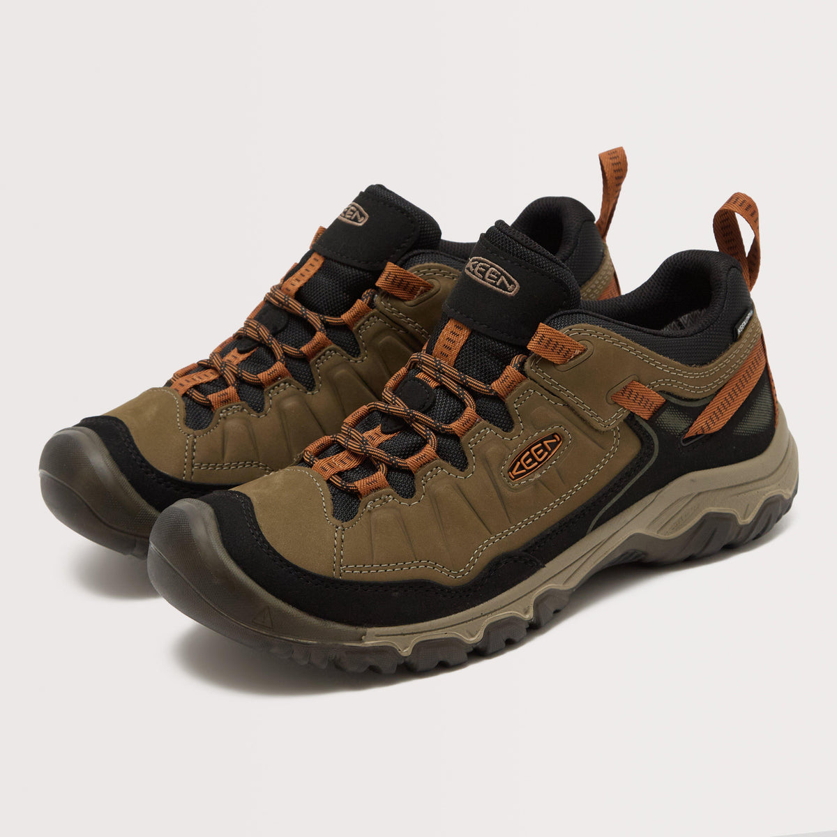 Men's Targhee IV Waterproof Shoe