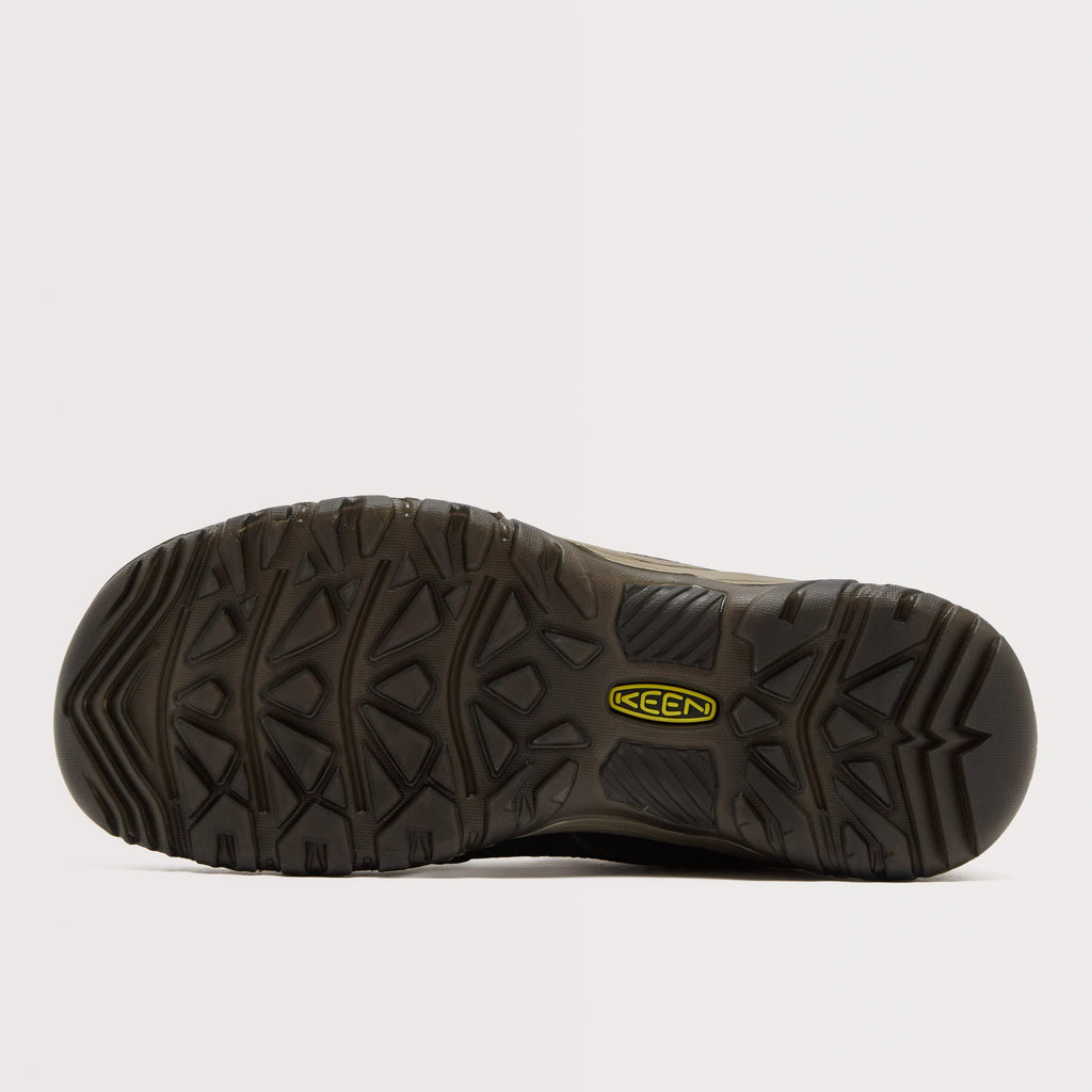 Men's Targhee IV Waterproof Shoe