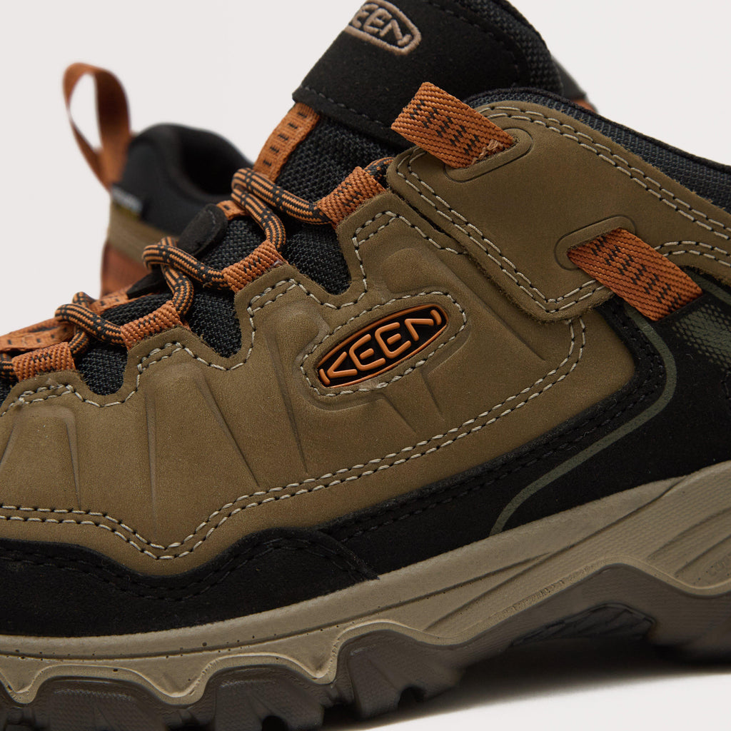 Men's Targhee IV Waterproof Shoe