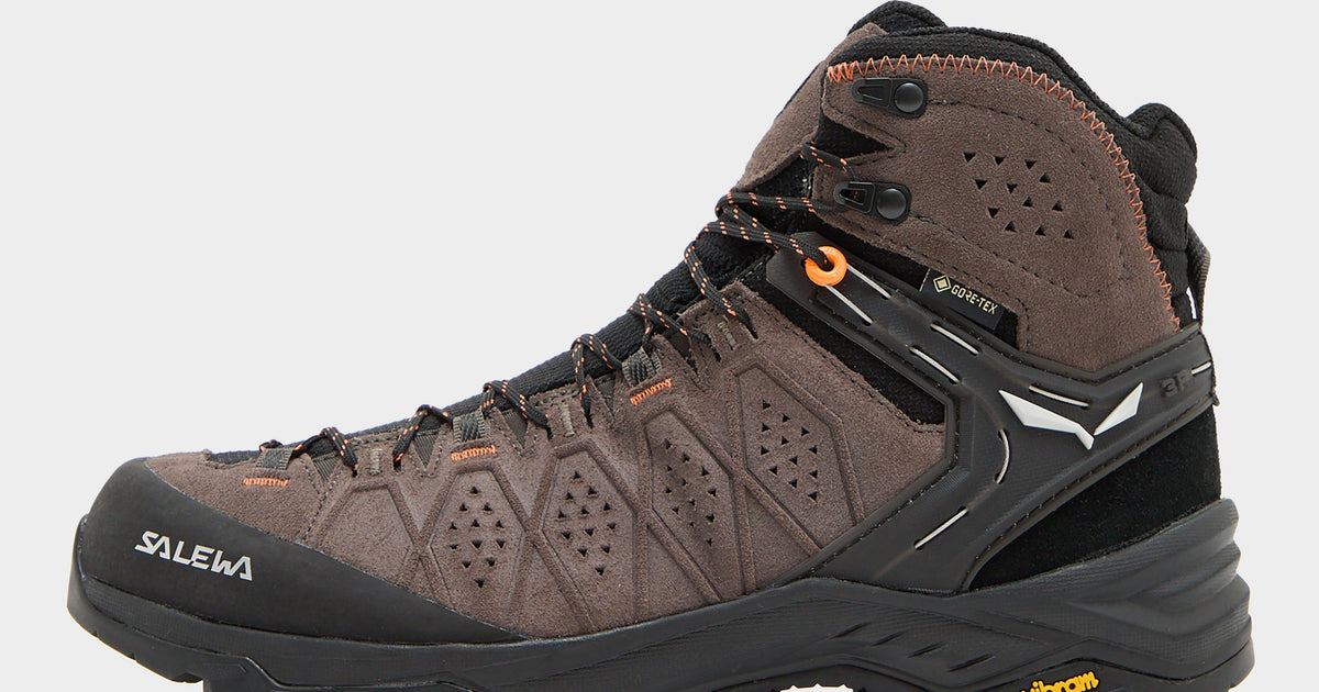 Brown Salewa Men's Alp Trainer Mid Gore-Tex – Millets