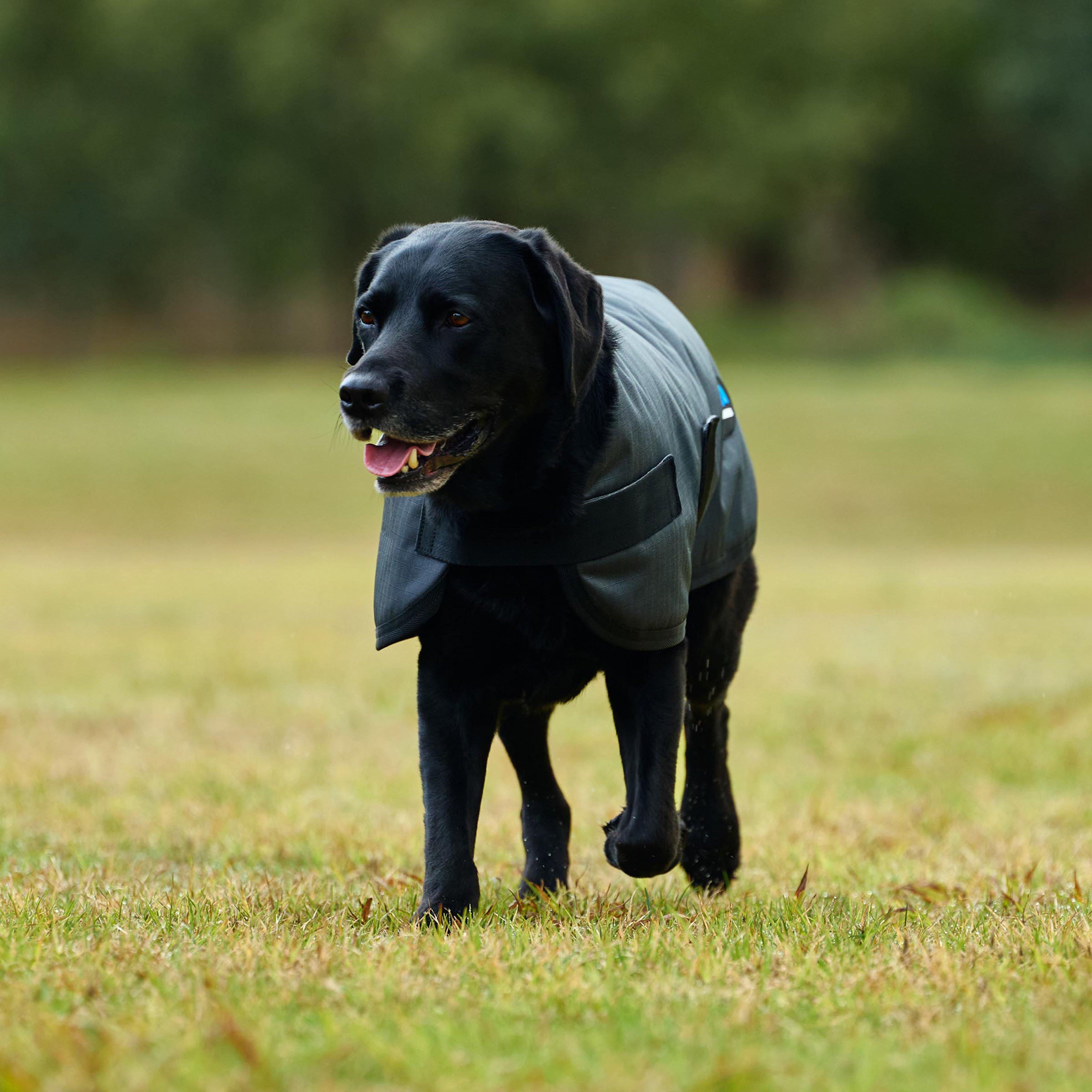 ComFiTec Classic Waterproof Dog Coat