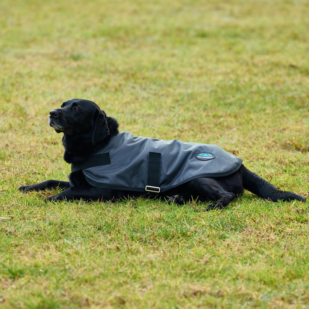 ComFiTec Classic Waterproof Dog Coat