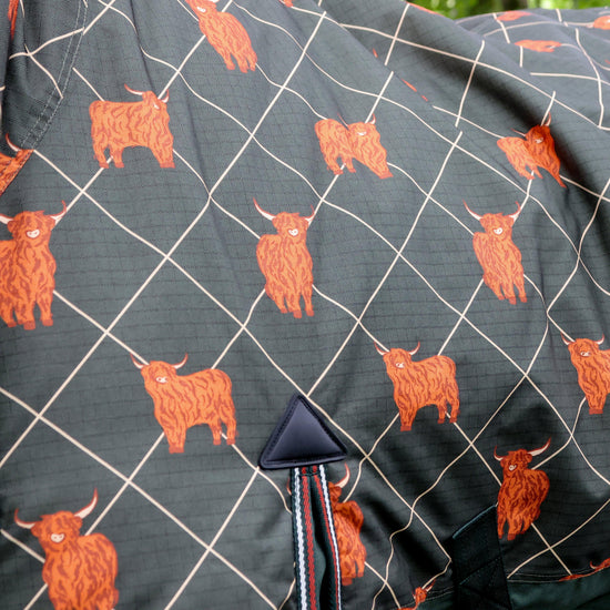 Original 100g Light Combo Neck Turnout Rug