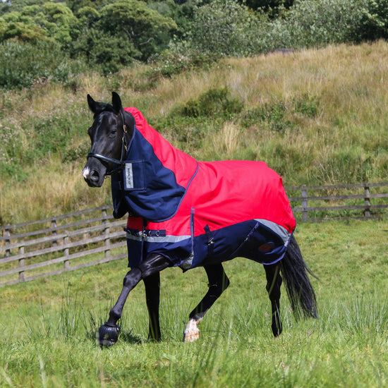 Pro 100g Turnout Rug