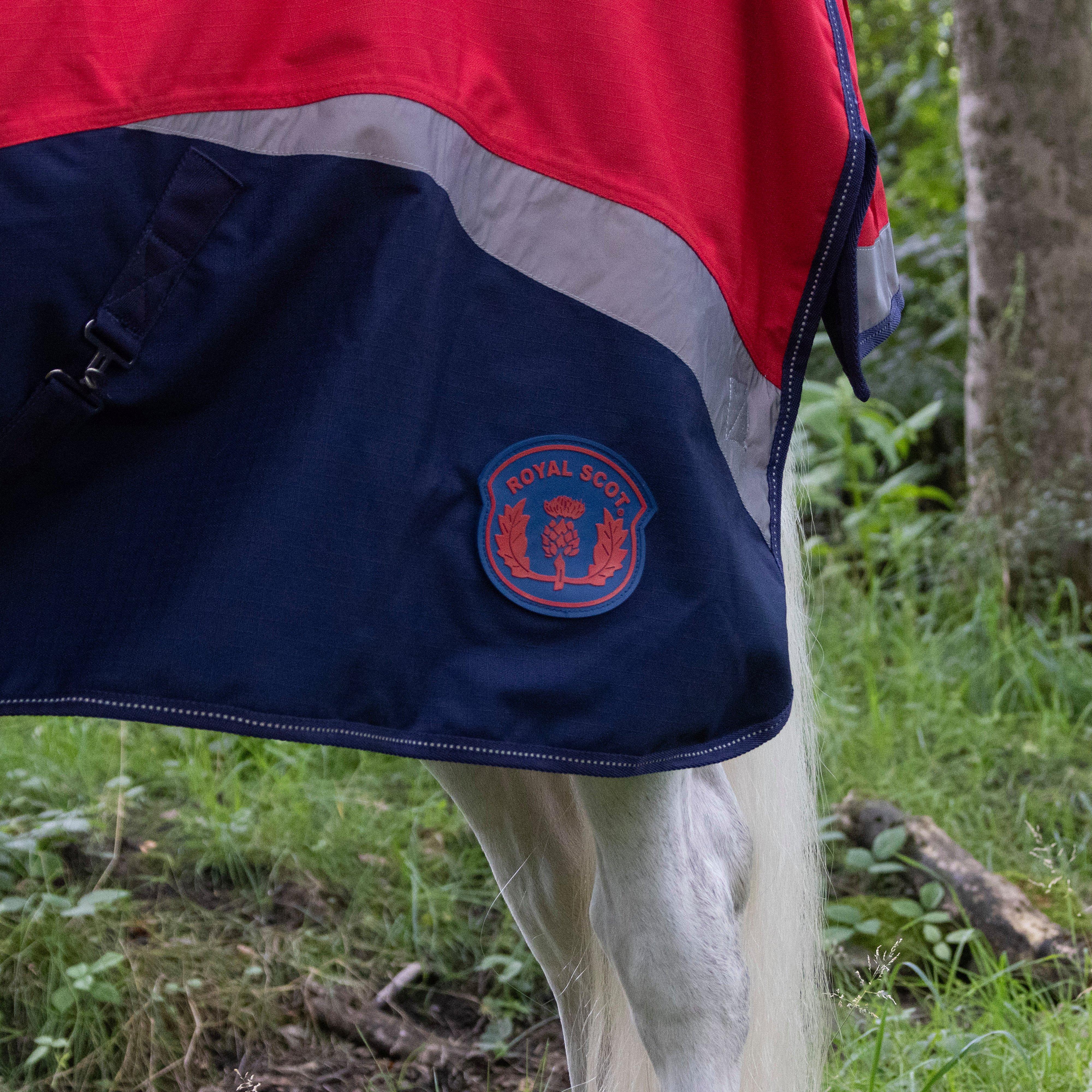 Pro 100g Turnout Rug
