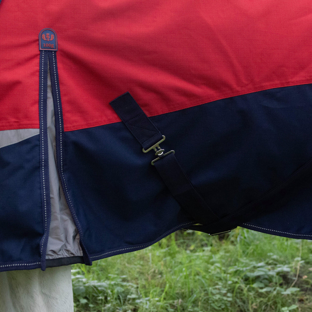 Pro 100g Turnout Rug